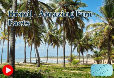 Brazil - Amazing Fun Facts