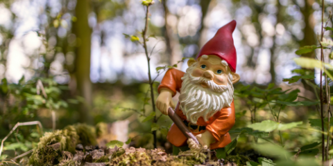 Garden gnome out in a forest