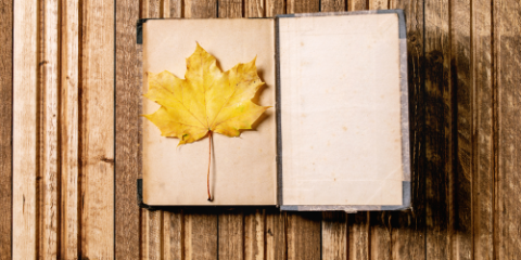 blank journal with a yellow leaf on it