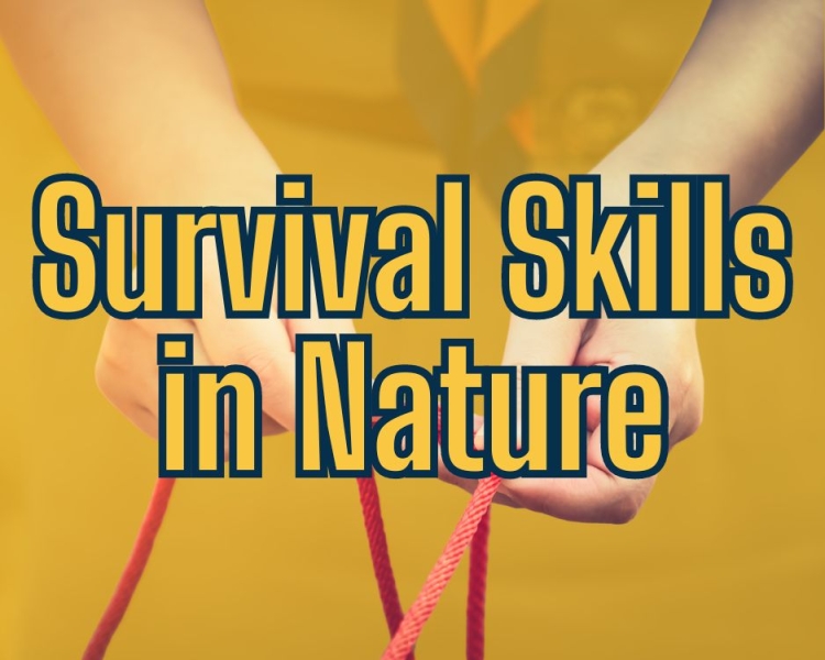 Survival Skills in Nature